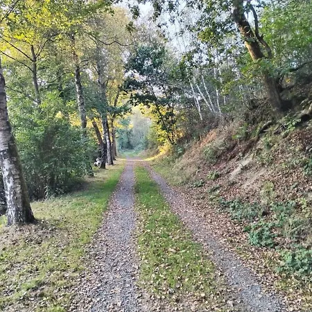 Gemuetliches Im Naturpark Rhein-westerwald شقة Raubach