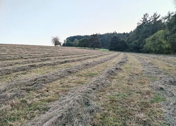 Gemuetliches Im Naturpark Rhein-westerwald Apartman *